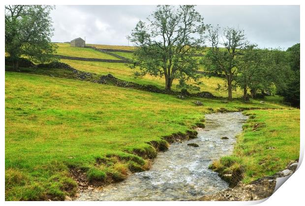 Gordale beck and Gorge Print by Diana Mower