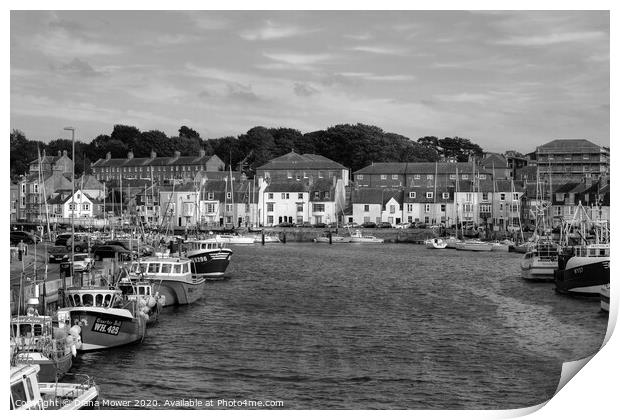 Weymouth Harbour Monochrome Print by Diana Mower