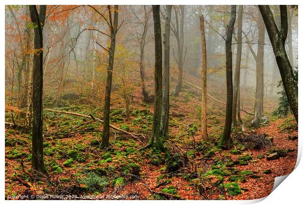 Forest of Dean Autumn Print by Diana Mower
