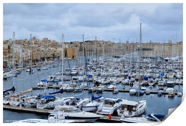 Valletta Harbour Marina Malta Print by Diana Mower