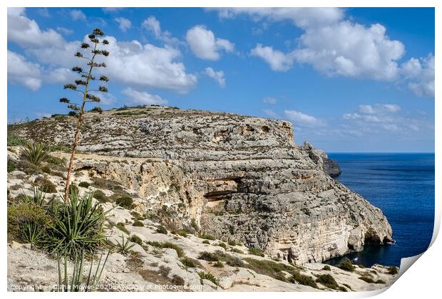 The Blue Grotto on the island of Malta  Print by Diana Mower