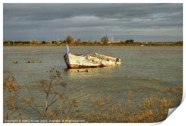 Ship wreck Maldon Essex  Print by Diana Mower