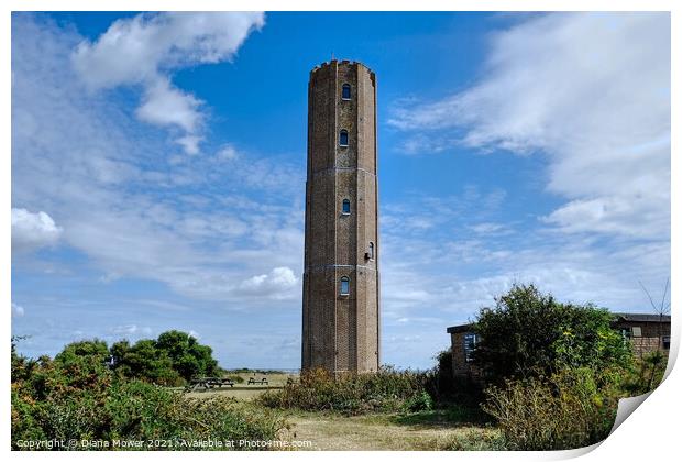 The Naze Tower Walton Essex Print by Diana Mower