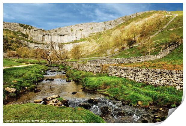 Malham Cove and Beck Yorkshire Dales Print by Diana Mower