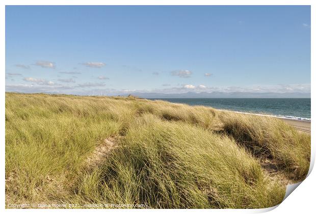  Tywyn Beach Cardigan Bay Wales Print by Diana Mower