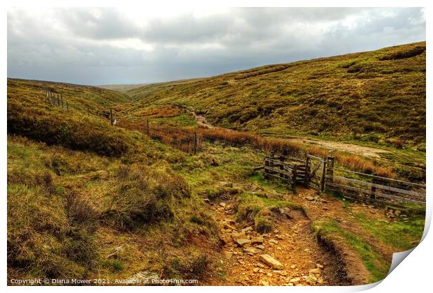 Footpath to Pendle Hill Summit  Print by Diana Mower