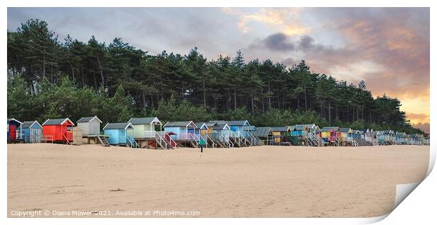 Wells next the sea beach Huts at Sunset Print by Diana Mower