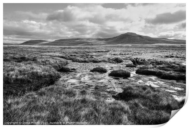 Ingleborough Yorkshire Dales Monochrome Print by Diana Mower