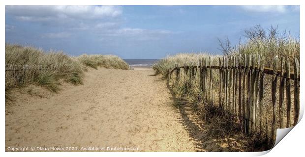 The path to the beach  at Mablethorpe Print by Diana Mower