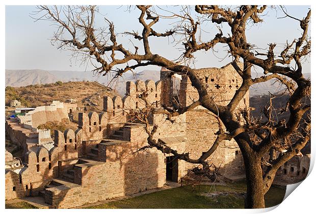 Fortified Tree at Kumbhalgarh Print by Arfabita  