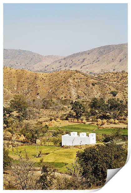 Rural famland Rajasthan India Print by Arfabita  