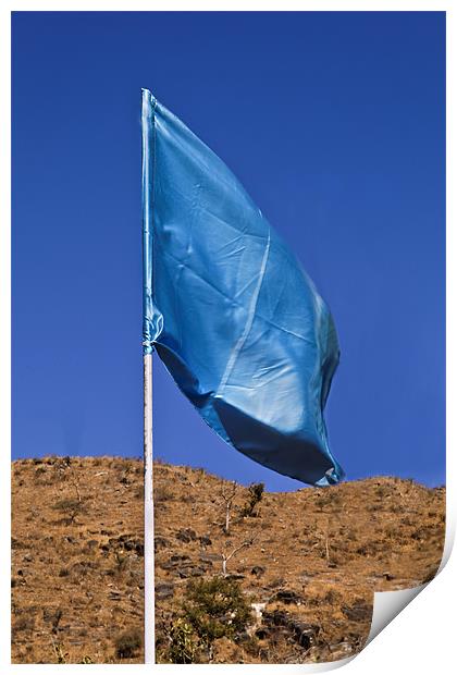 Silky blue flag in the breeze Print by Arfabita  