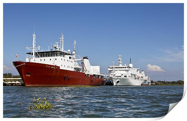 Ocean Liners anchored at Kochin Print by Arfabita  