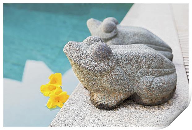 West facing stone frogs by poolside Print by Arfabita  