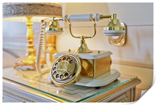 Ornate dog and bone brass telephone Print by Arfabita  