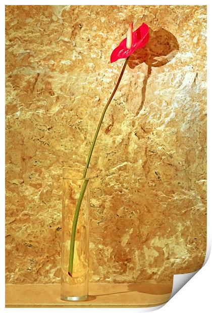 Red single petal tropical flower bud vase Print by Arfabita  