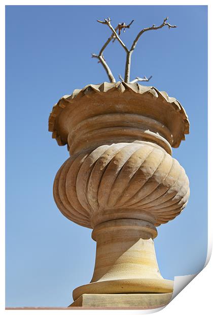 Upward view Rajasthan stone Plant pot Print by Arfabita  