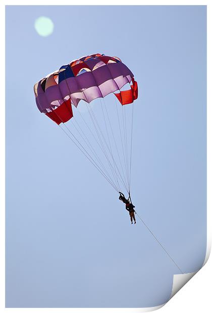 Male and Female gliders in clear blue sky Print by Arfabita  