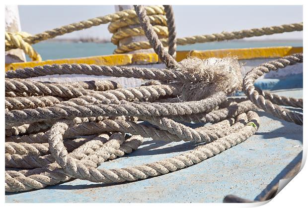 Boating Ropes Print by Arfabita  