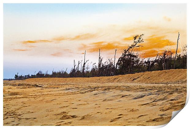 Pondicherry Manaputta Beach Sunset Print by Arfabita  