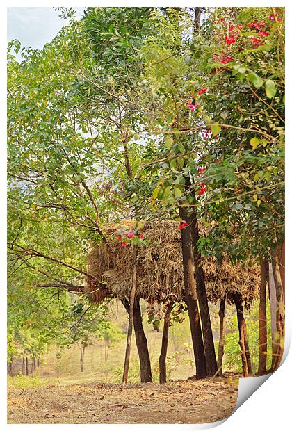 Indian cattle rearing haystack on stilts Print by Arfabita  