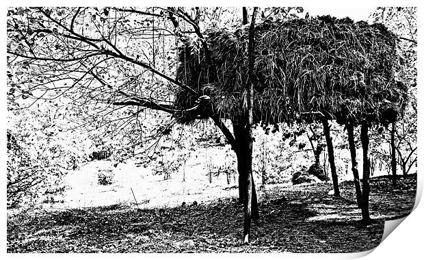 Indian Haystack on stilts in an orchard Print by Arfabita  