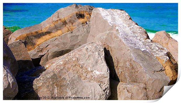 Peeping over the Jetty Print by Susan Medeiros