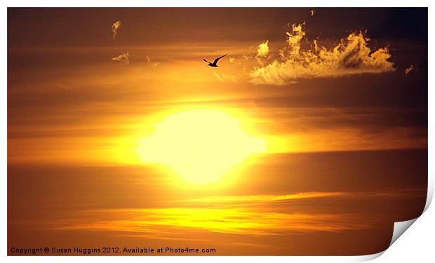 Seagull across the sunset Print by Susan Medeiros