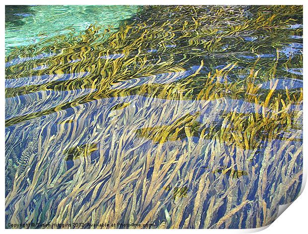 Wetland Auquifer Print by Susan Medeiros