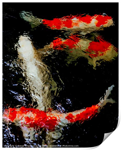 Fish in the Koi Pond Print by Panas Wiwatpanachat
