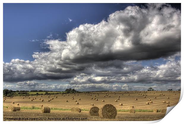 Harvest time.... Print by Mark Harper