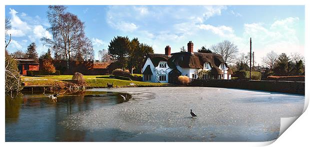 Thatched Cottage and Pond Print by paul lewis