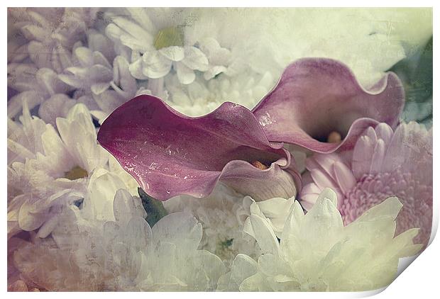 Beautiful Bouquet, Calla Lilies Print by Louise Wagstaff