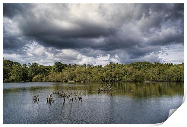 Calm Before The Storm. Print by Louise Wagstaff