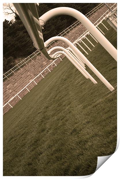 Chester Racecourse Print by Ben Welsh