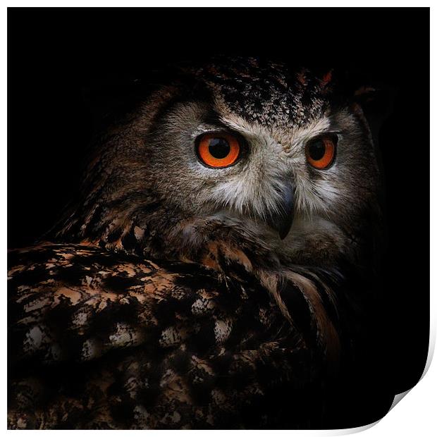 Eagle Owl with Glowing Eyes Print by Ed Pettitt