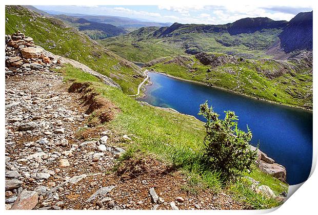 Llyn Cowlyd Print by World Images