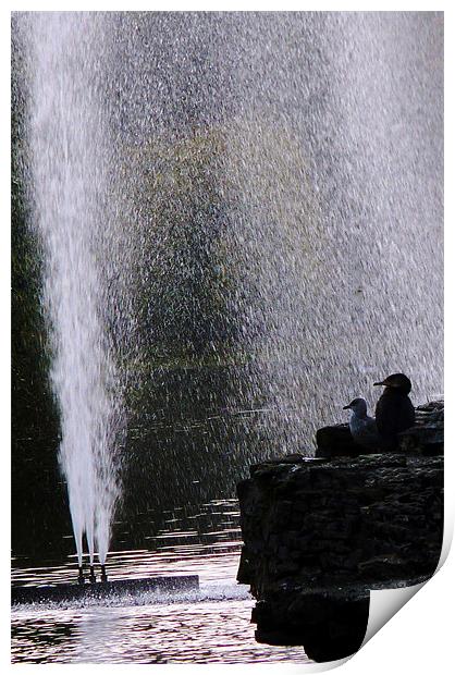 Shower in St James Park Print by Reg Dobson