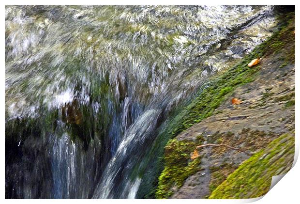 Dolgoch Falls Wales Print by Reg Dobson