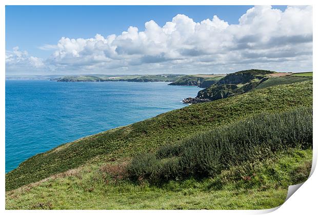 Port Quin Bay Print by Jonathan Swetnam