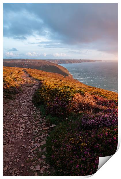 Cornish Coast at Golden Hour Print by Jonathan Swetnam