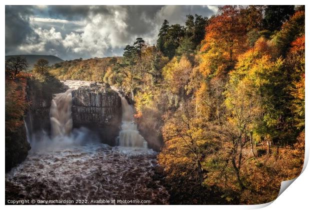 High Force Waterfall Print by Gary Richardson