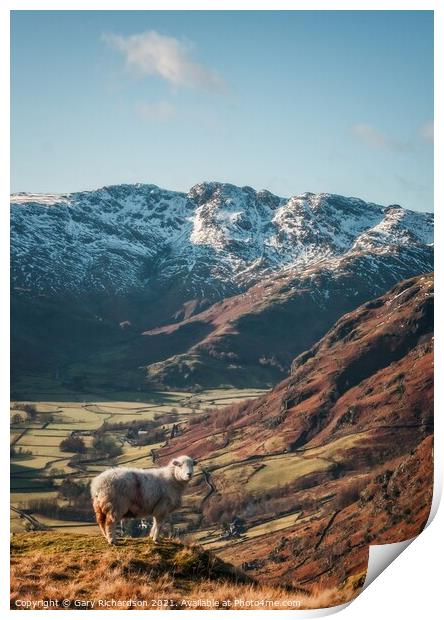 The Langdale Valley Print by Gary Richardson