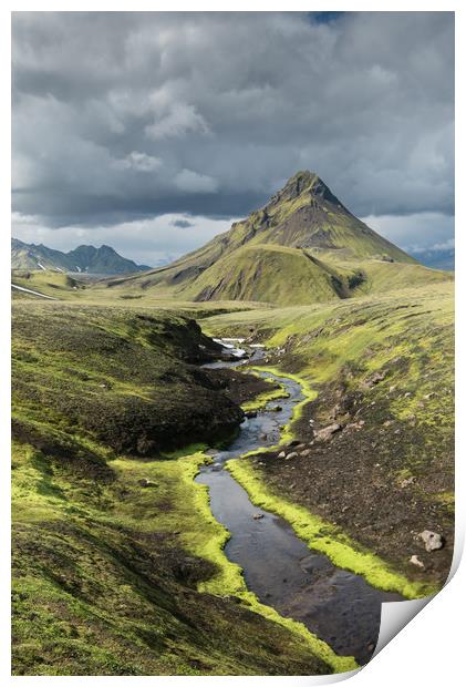 Moss & Mountains Print by Judith Parkyn