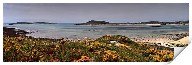 Tresco Panoramic - Scilly Isles Print by Ashley Chaplin