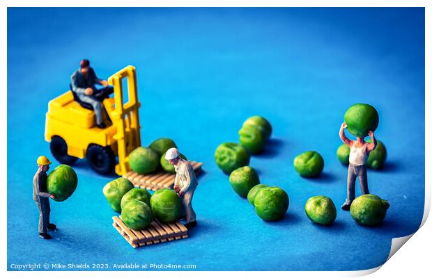 Harvesting the Miniscule: Pea Operation Print by Mike Shields