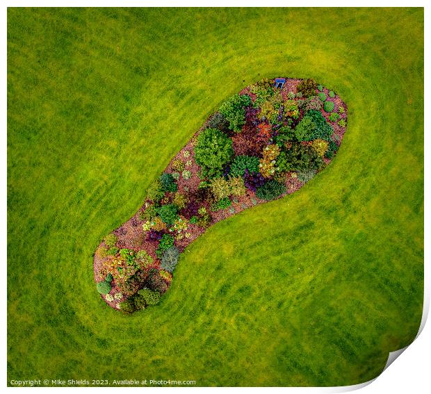 Footprint of Flowers Print by Mike Shields