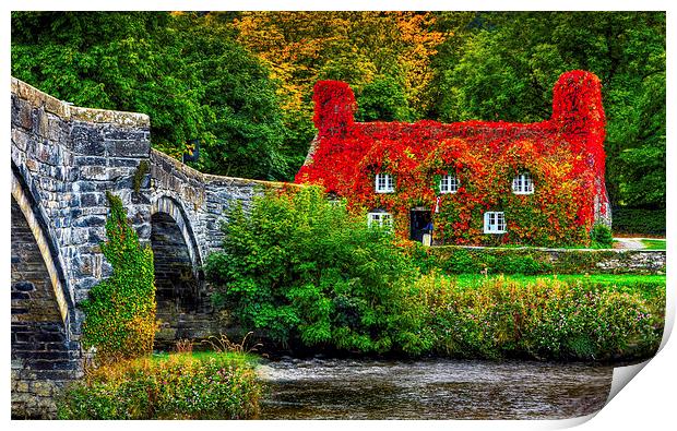 'Seasonal Transformation of Llanrwst Tearoom' Print by Mike Shields