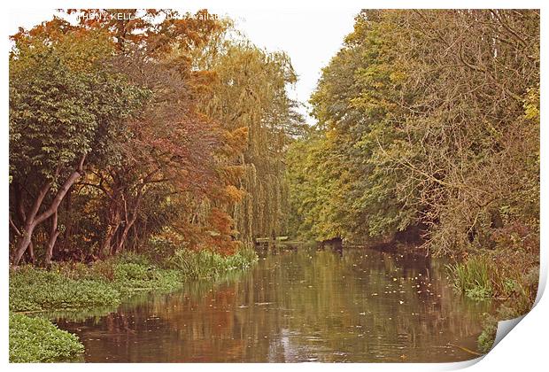River Itchen in autumn Print by Anthony Kellaway