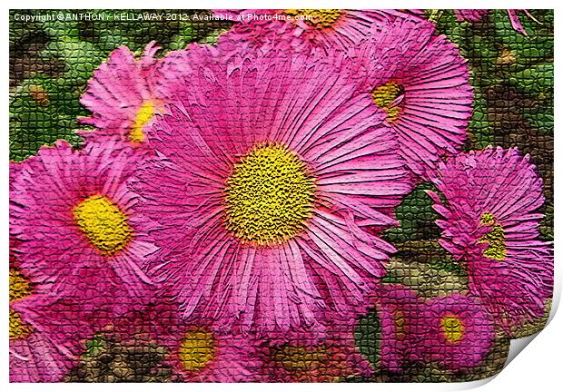 Chrysanthemums pink / yellow mosaic style Print by Anthony Kellaway